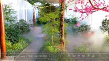 這樣的室內(nèi)庭院，簡(jiǎn)直讓我尖叫！